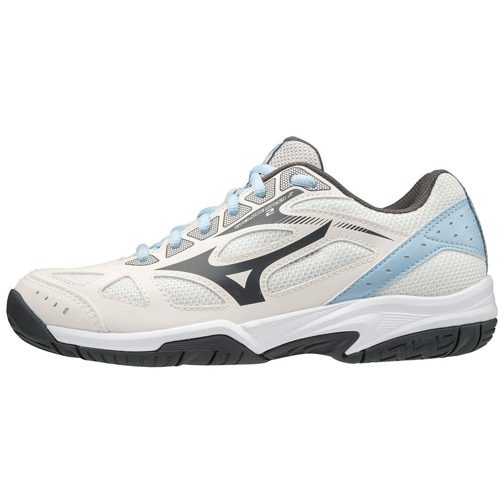 Womens Mizuno Cyclone Speed 2 Volleyball Shoes White/Grey Philippines (WKPXRT102)